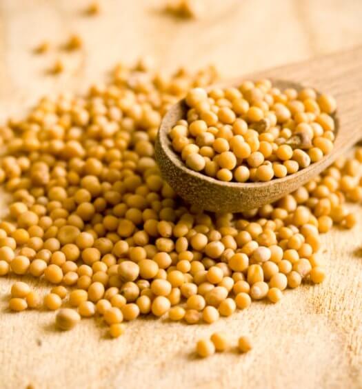 mustard seeds