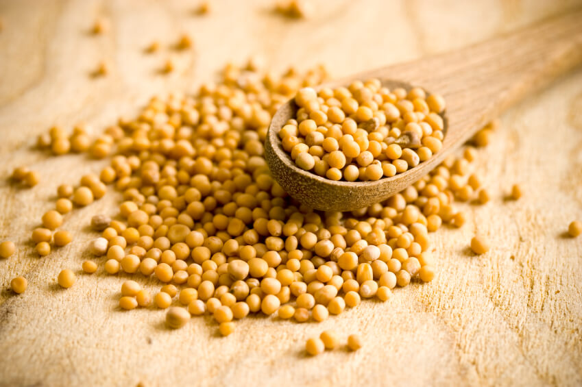 mustard seeds